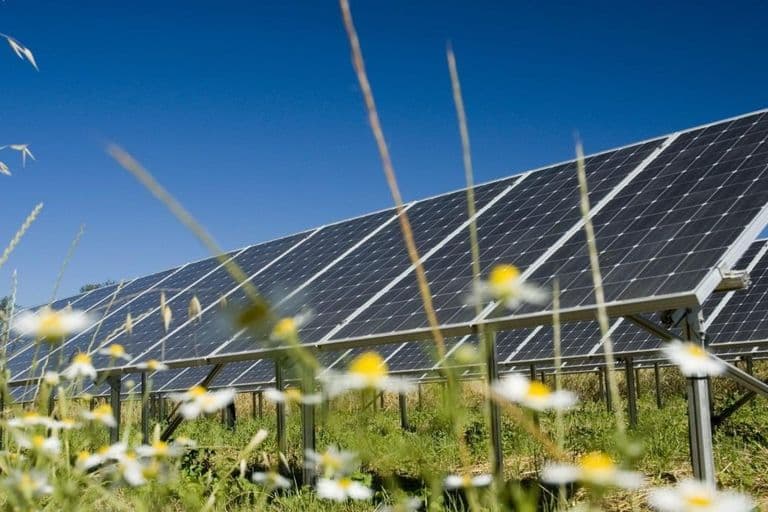 IEA: A napenergia megelőzte az összes többi energiaforrást
